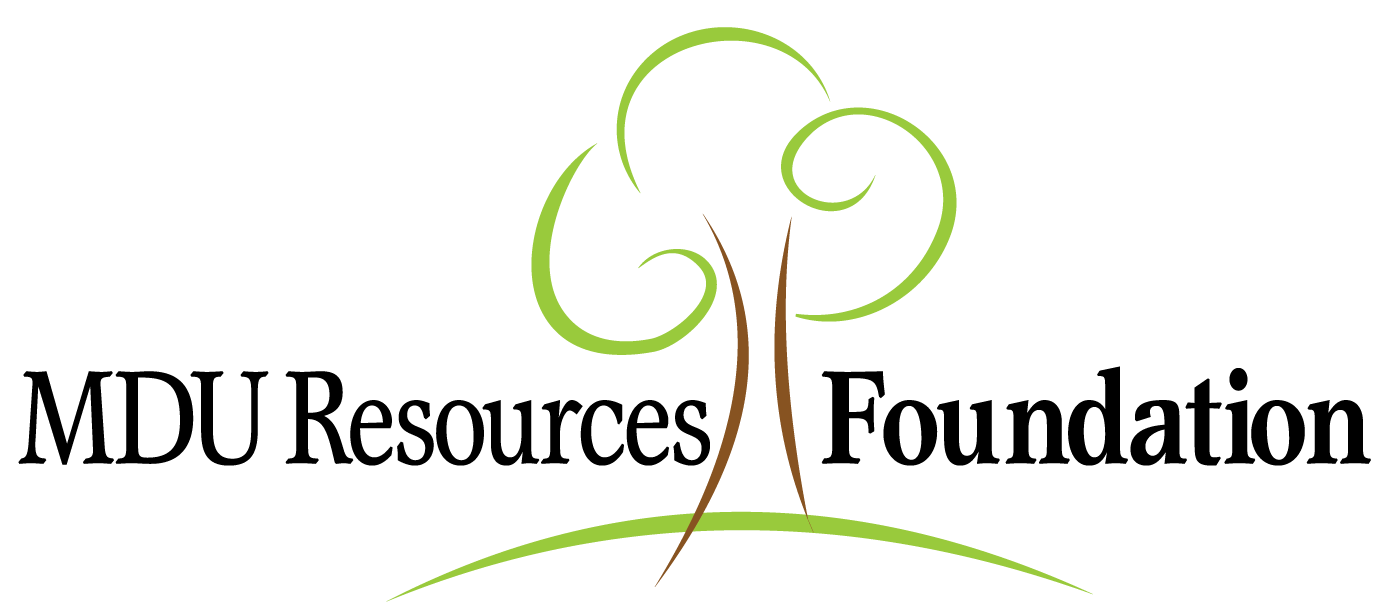 Performance Engineering Logo